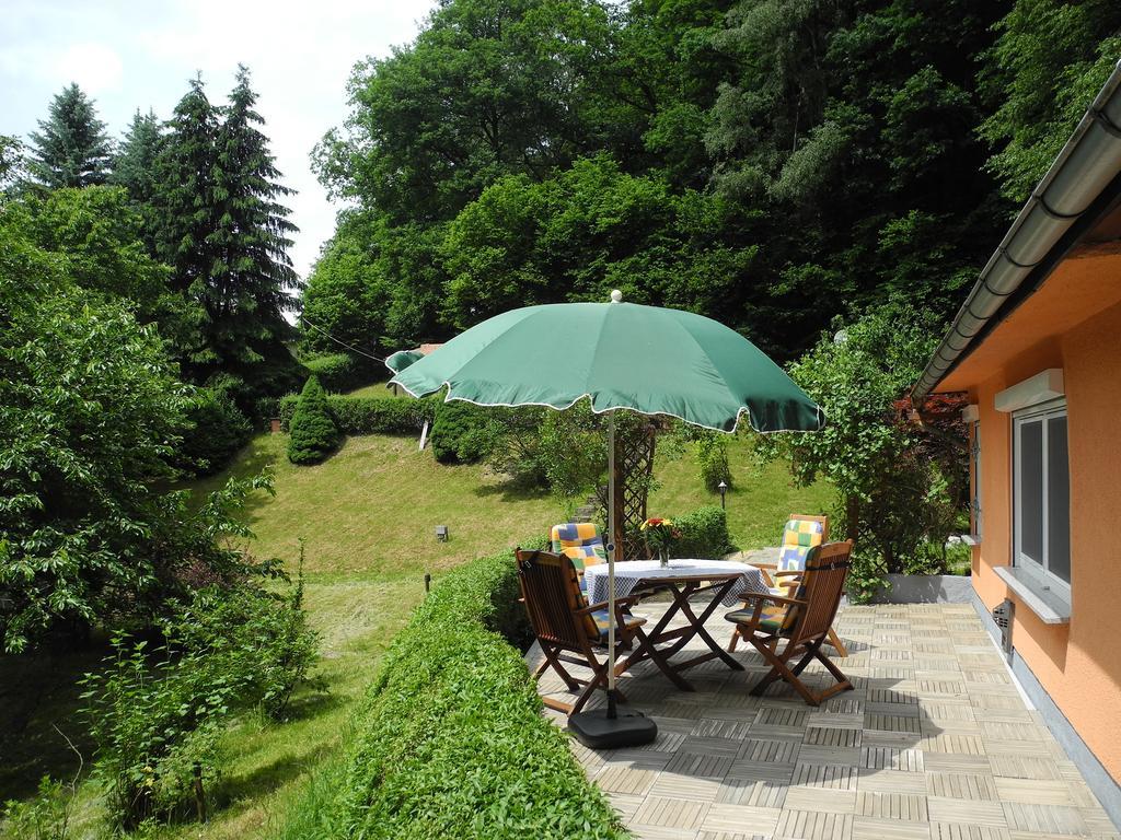 Ferienhaus Am Urzeitpark Sebnitz Hertigswalde Zewnętrze zdjęcie