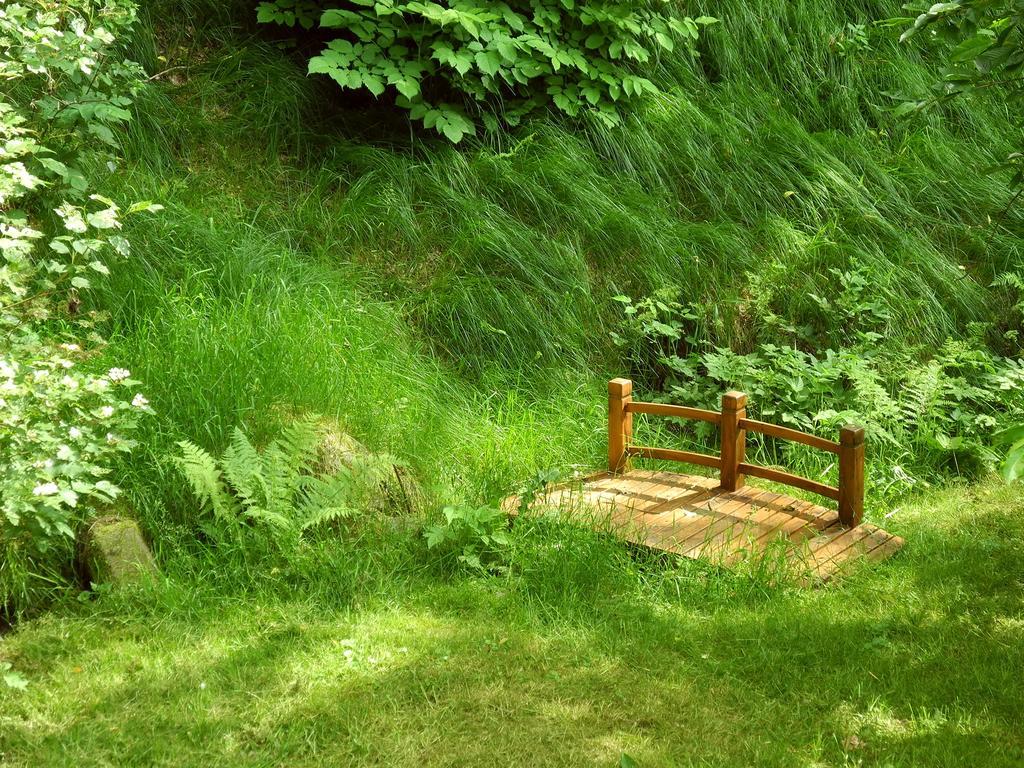 Ferienhaus Am Urzeitpark Sebnitz Hertigswalde Zewnętrze zdjęcie