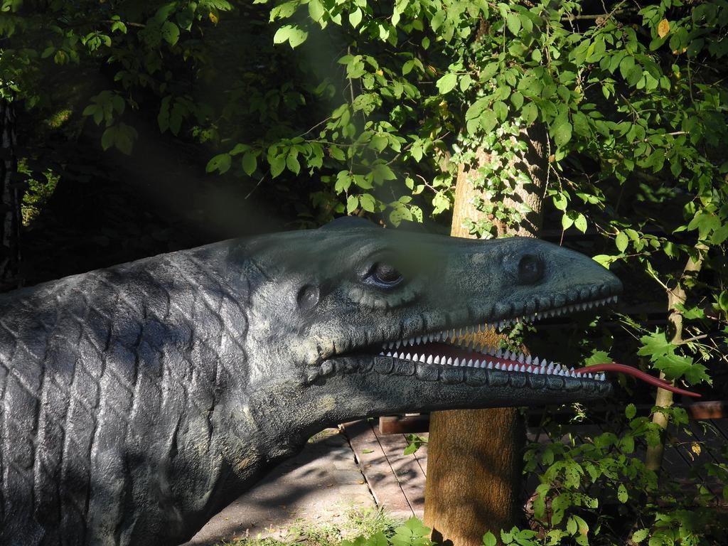 Ferienhaus Am Urzeitpark Sebnitz Hertigswalde Zewnętrze zdjęcie
